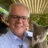 manfredthomas4534 - @manfredthomas4534 - TikTok