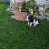 manfredfurtner - @manfredfurtner - TikTok