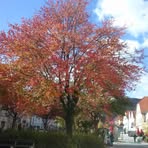 Manfred Ulrich - Facebook