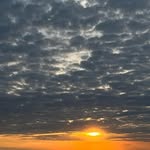 Manfred Ulrich - @manipalmo2 - Instagram