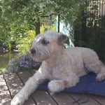 Manfred Wacker - @manfred.wacker.39 - Instagram