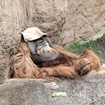 Manfred Werner - @manfred54werner - Instagram