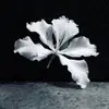manfred_wong0912 - @manfred_wong0912 - TikTok