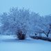 Manfred Wunderlich - Facebook