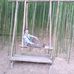 Mang Lu - Facebook