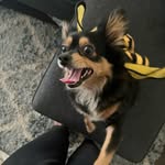 Mango Monique Davis - @mangoboogle - Instagram