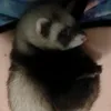 Mango tango - @mangotango93 - TikTok