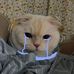 Mạnh Hổ - Facebook