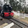 maninderpalsingh2726 - @maninderpalsingh2726 - TikTok