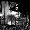 Manish Ahuja - @manishahuja71 - TikTok