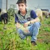 manish Bhatia  - @mansihbhatia2000 - TikTok