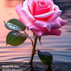 Manisha Chhetri - Facebook