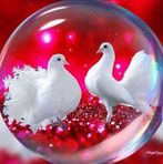 Manisha Mani - Facebook