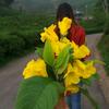 🍀🕊️ - @manisha_pradhan77 - TikTok