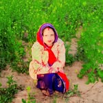 Manisha Rajawat - @manisha.rajawat.182 - Instagram