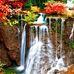Manisha R-Tewari - Facebook