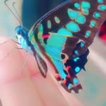 Manjesh Rajput - @manjeshrajput866 - Instagram