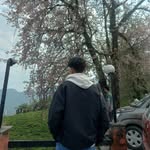 Manjil Thapa Manger - @manjil_0284 - Instagram