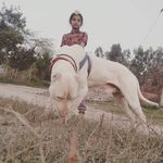 Manjit Bhullar - @manjitbhullar55 - Instagram