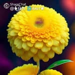 Mann Mann - @manjit_paul_punjab - Instagram