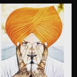 Manjit Singh Virk - @manjit_singh_79827 - Instagram