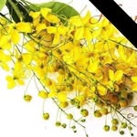 Manju Jacob - @mtw2340 - Instagram