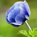 Manju Jacob - Facebook