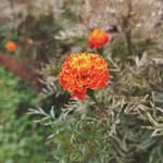 Praveen Lakra - @manju__lakra_ - Instagram