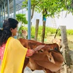 Manjula Devi - @yadav_raithu_bidda_palamuru - Instagram