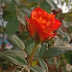 Manjula Paul - Facebook