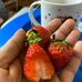 Manjula ranasinghe - Facebook