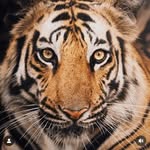 Manjunath Akki - @manjunathakki9353 - Instagram