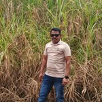 Manjunath Bellad - @belladmanjunatha - Instagram