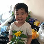 Man Kit Chan - @mankit.chan.37604 - Instagram