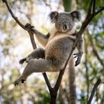 Junior Job - @mankit.wong.927980 - Instagram