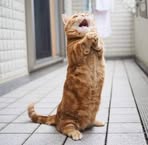 Mankit Wong - Facebook