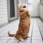 Mankit Wong - @mankit.wong.520357 - Instagram