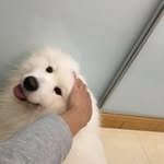 Mankit Wong - @iamkitjai_0614 - Instagram