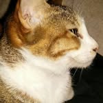 Mankit Wong - @mankit.wong.56884 - Instagram