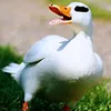 Mankit wong - @kit61395 - TikTok