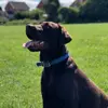 Marley Baker - @marley.baker1 - TikTok