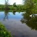 Manley Old Hall Fishery - Facebook