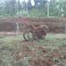 Mancing Yu - Facebook
