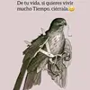 Manolo Corea - @manolo.corea - TikTok