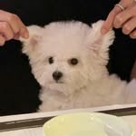 Manman Liu - @liu_mm_ - Instagram
