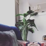 manman.liu - @liumanxiaxia - Instagram