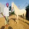 Manmeet Samra - @manmeetsamra2 - TikTok