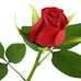 Manmohan Kumar - Facebook