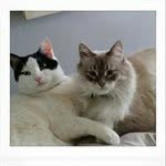 Ann Jones - @mannjones12 - Instagram