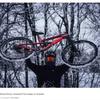 Manning - @.mountainbikemadness - TikTok